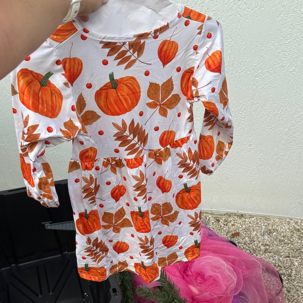 Pumpkin Patch Kids Costume - Orange and White